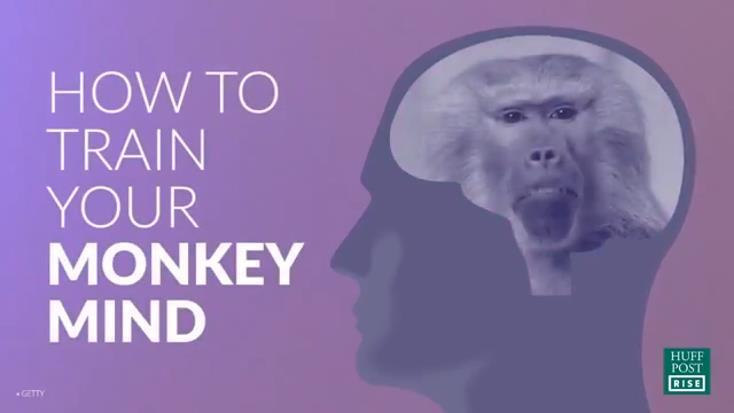 How to train your monkey mind. https://www.