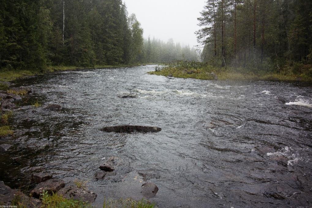 16 BIOLOGISK OVERVÅKING I VANNOMRÅDE LEIRA-NITELVA 2017 6.