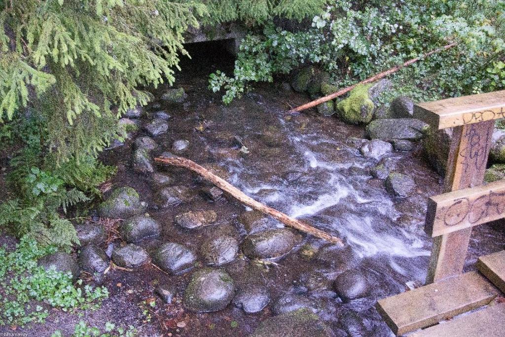 BIOLOGISK OVERVÅKING I VANNOMRÅDE LEIRA-NITELVA 2017 27 Det var middels vannføring ved prøvetakingen, regn og våt leire gjorde prøvetakingen vanskelig.