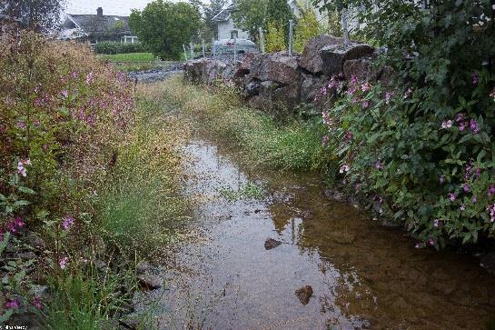 BIOLOGISK OVERVÅKING I VANNOMRÅDE LEIRA-NITELVA 2017 35 Samlet har Fjellhamarelva/Sagelva gått opp en tilstandsklasse, fra svært dårlig til dårlig økologisk tilstand.