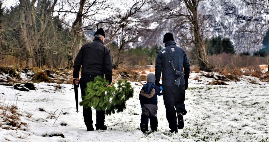 Vi takker for samarbeidet i året som gikk, og ønsker alle en God Jul og et Godt Nytt År!