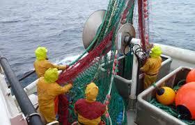 Sikkerhetsbemanning etter ILO 188 Etter ILO 188 artikkel 13 bokstav a skal den kompetente myndigheten (Sjøfartsdirektoratet) kreve at fiskefartøy er tilstrekkelig og sikkert bemannet for sikker