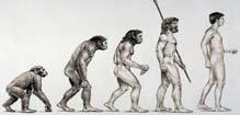 De genene Evolution som så and lett gjør development oss overvektige of the har (individual) overlevet (blitt human selektert) i