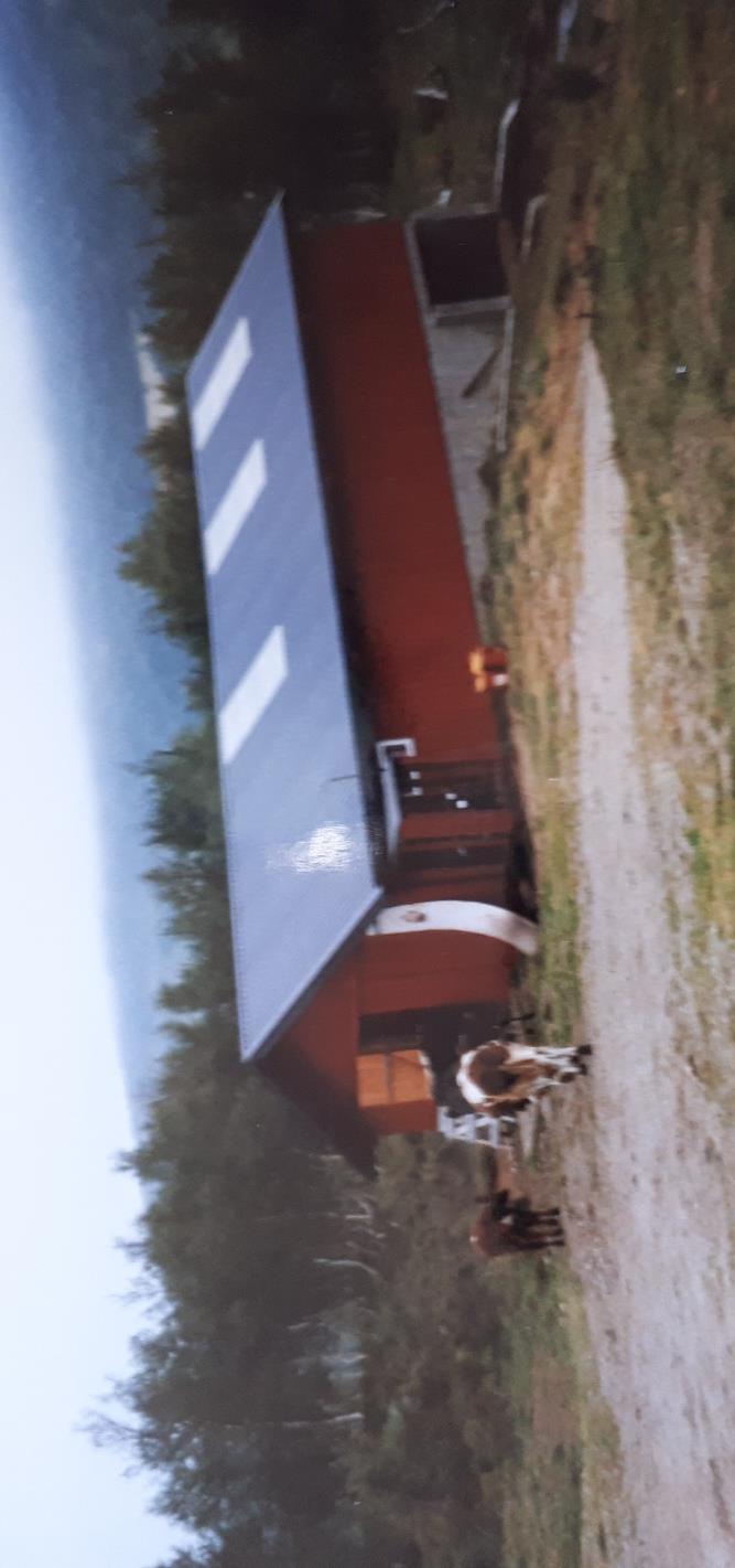 Foto av fjøs bygd i 1993, fot fra etter at det er beiset rødt. Jordutgard Vi driver med sau og har setra som utgangspunkt for slipp/sank av sau. Vi er der mye om sommeren i forbindelse med tilsyn.