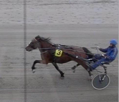 Løp 1 Rutineløp 2 årige og eldre hester 2-årsløp. Begge raser. Fartsbegrensning kaldblods: 1:50,0,- Nr 1 Kjølstad Jænta 2 Gunnar Karlsen Kristian Bjørnerød 1900 1.