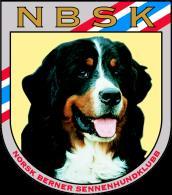 LP søndag. Søndag 27. mai 2018 Narvik Hundeklubb LP, Eksteriørutstilling og valpeshow. Se dommerliste nedenfor. Felles gruppefinale for raser i gr. 6 og 8. Kontaktpersoner: Bodil, tlf.