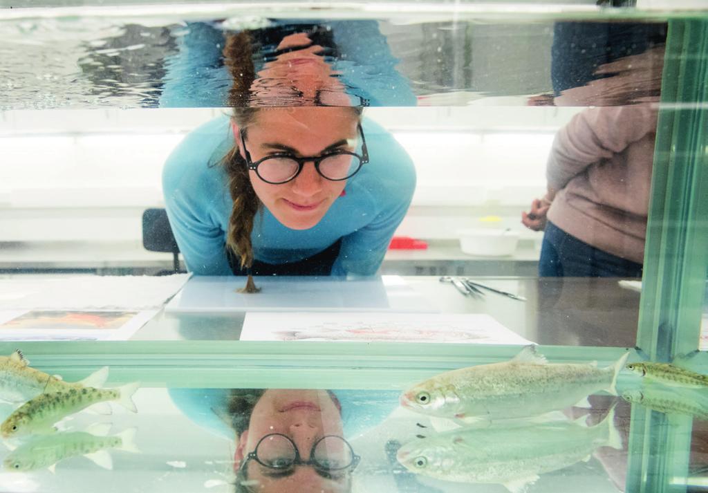 Institutt for plantevitenskap har et nasjonalt ansvar for utdanning og forskning innen biologi, bærekraftig produksjon og bruk av planter til mat, fôr, pryd og rekreasjon.