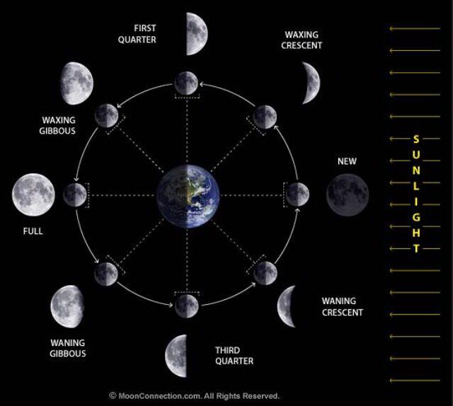 vender mot jorda (rett linje sola, jorda, månen) og vi har fullmåne.