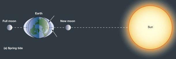 Selv om sola er mye mer massiv enn månen er det månen som er hovedårsaken til tidevann siden den er mye nærmere oss enn sola er.