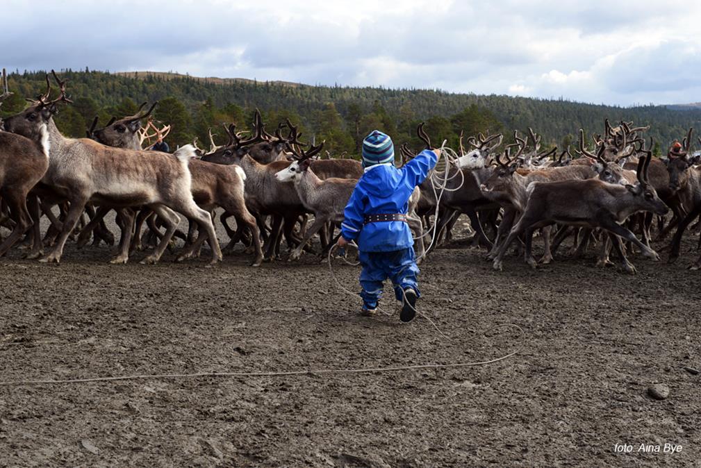 klimatilpasning 0-24 satsingen for utsatte barn og unge Tidlig dialog