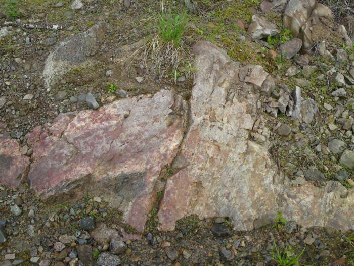 Det ble registrert noe bart fjell og fjellblotninger i og rundt feltet som naturlige åpne felter og i veiskjæringer.