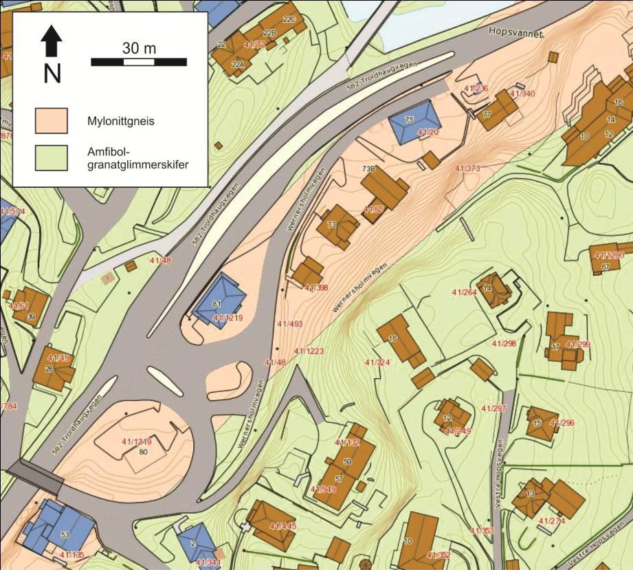 Figur 4: Berggrunnsgeologisk kart over undersøkelsesområdet (www.ngu.