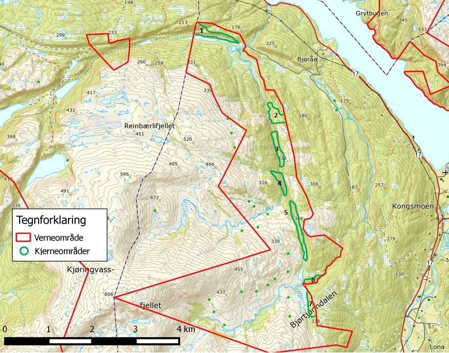 4.2 Verneverdier Verneverdiene i området er knyttet til rike og produktive vegetasjonstyper, samt de regionalt sjeldne skogtypene gråor-almeskog og rik boreal løvskog.