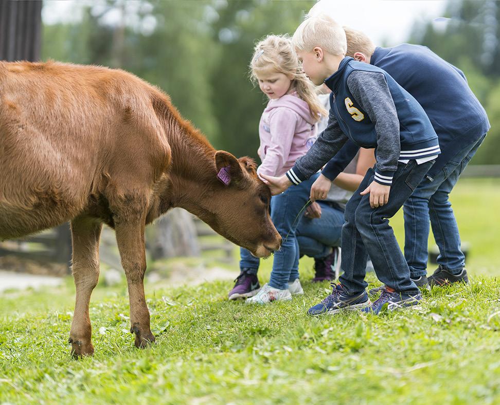 PRAKTISK BONDEGÅRD barn i gamle dager Barnehage 5. trinn På barnas bondegård lærer elevene hvordan ull ble kardet og smør ble laget i gamle dager.