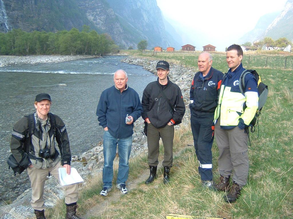 Revisjonen av Årdalselva og