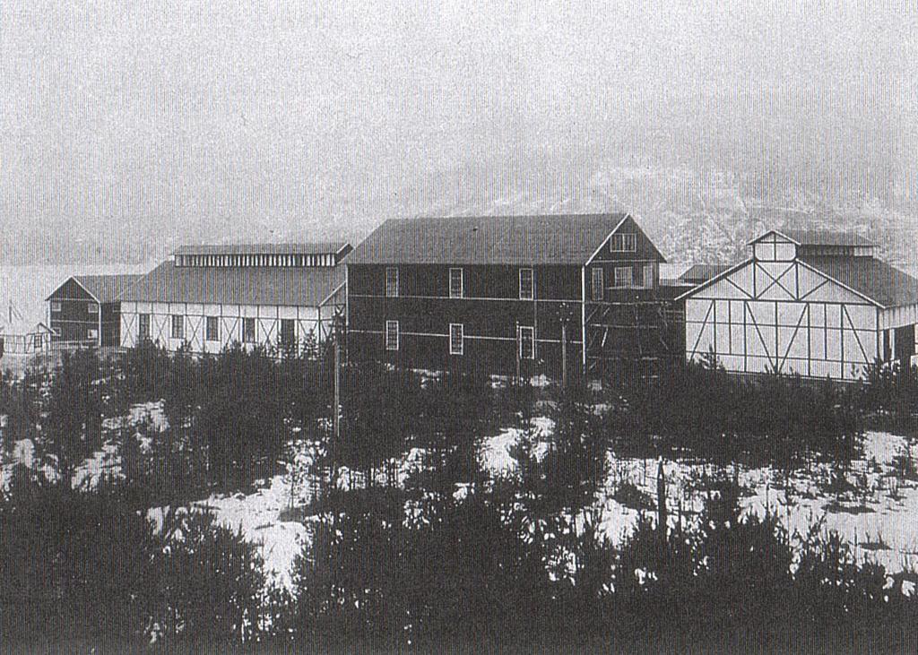 Første Norsk Hydro fabrikken (1905) med 2000 ansatte.