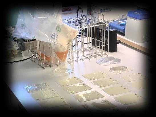 BEDRIFTSRELEVANTE ANALYSER MIKROBIOLOGI Uttak av steril mikrobiologisk prøve