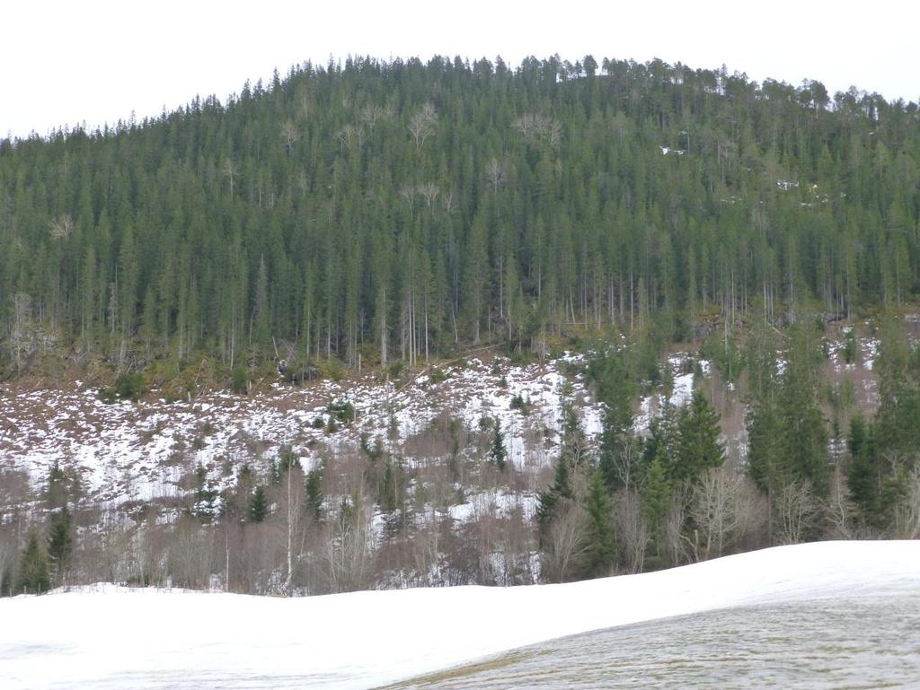 Figur B: Påhuggsområde vest.  Vedlegg 1 Fv.