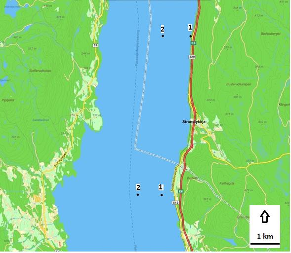 Figur 3. Mjøsa s sørøstlige del hvor det er planlagt to alternative plasser for dumping av masser beskrevet som scenarium 1 nær land og scenarium 2 sentralt.