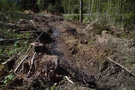 Skogbruket 1. Sikre fortsatt karbonopptak og karbonlagring i skog 2.