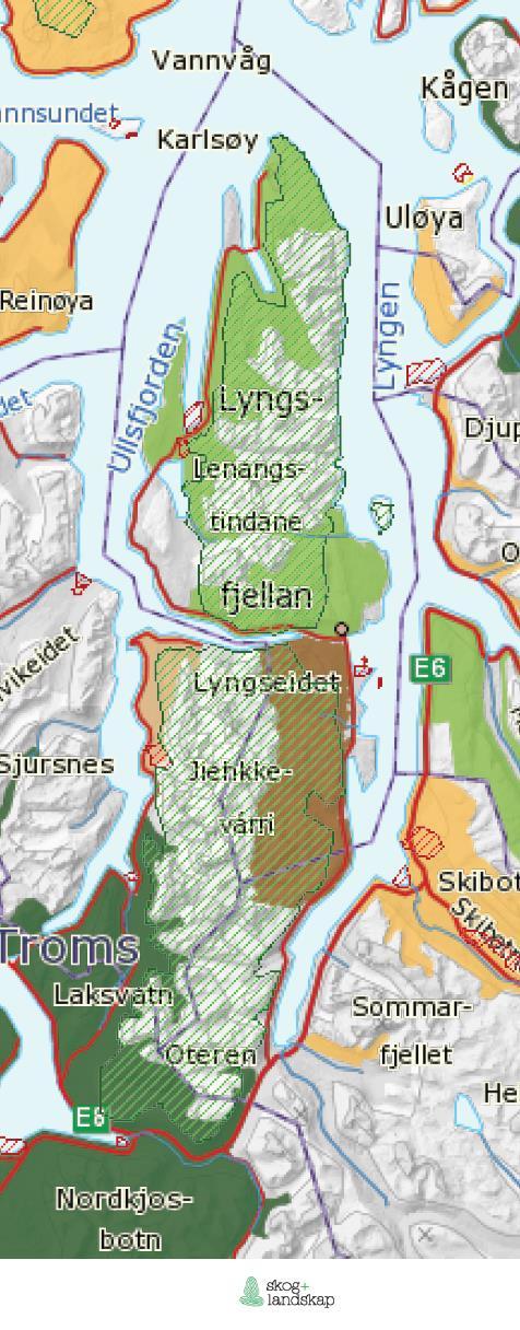 Rapport 04/04/2016 37 6.1.1 Husdyrbruk Lyngsalpan er et viktig beiteområde for småfe i alle fire kommunene. Det drives sauehold rundt hele halvøya med ca. 15.000 dyr sluppet på beite.