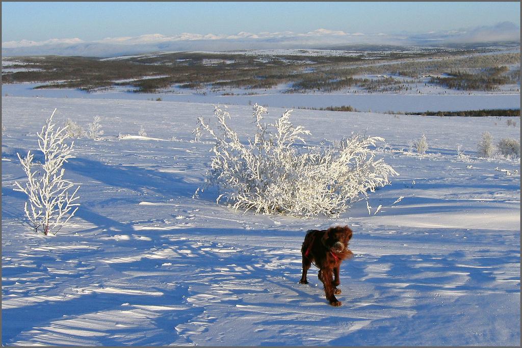 Dagene er korte i desember, men den som tar turen ut, får "godt betalt".