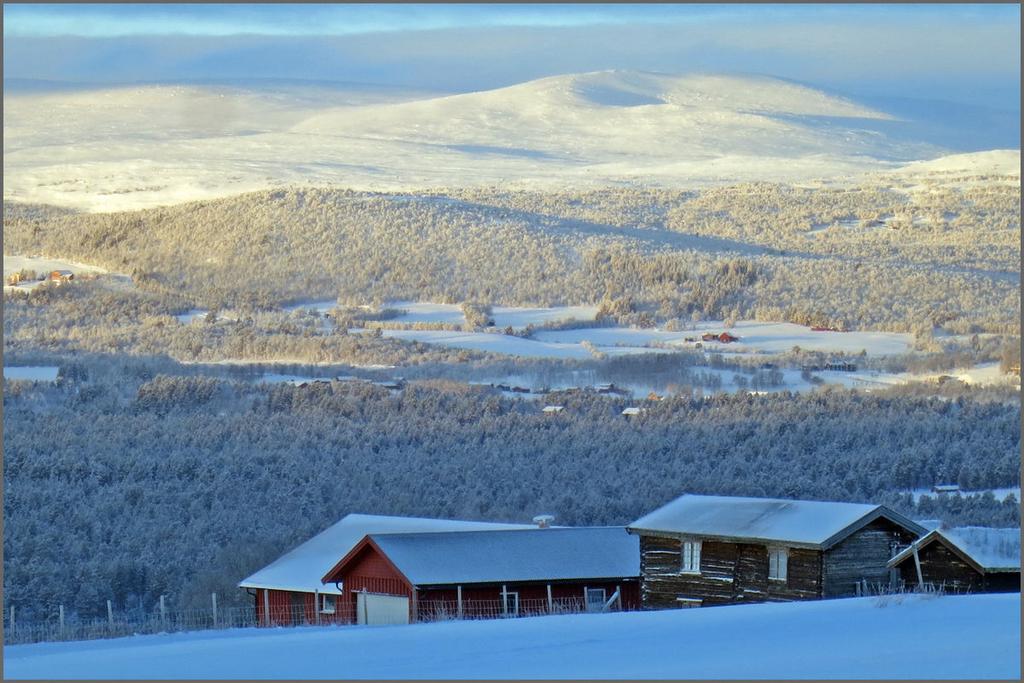 Utsikt vestover fra Østgarden i Dalsbygda.