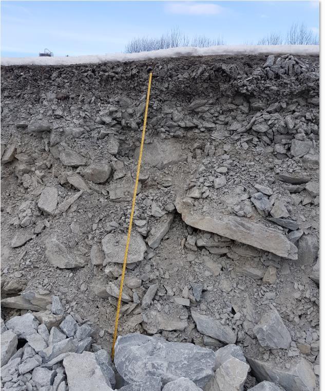 Undersøkelser E6 Åsen-Ronglan Oppgraving av ett felt på en lengre strekning med mye paddehatter (pga breddeutvidelse på) Som nedre