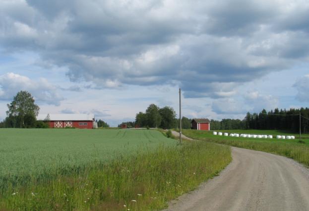 bruker. Til venstre: Østu'n Løvlien som var husmannsplass under AS Fjeldskogen. (0420-005-026).