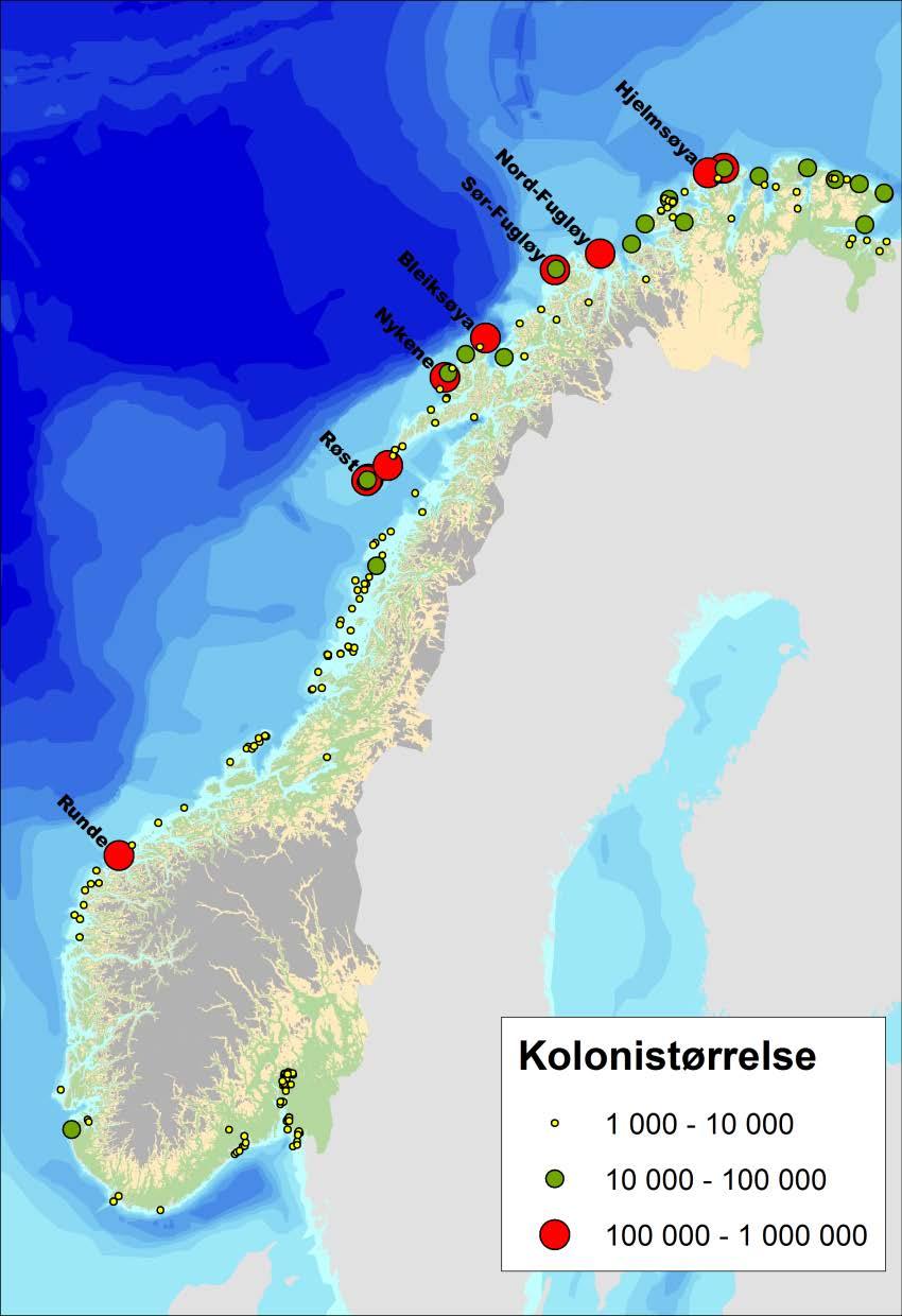 Figur 1.1 Størrelsen på sjøfuglkolonier i Norge.