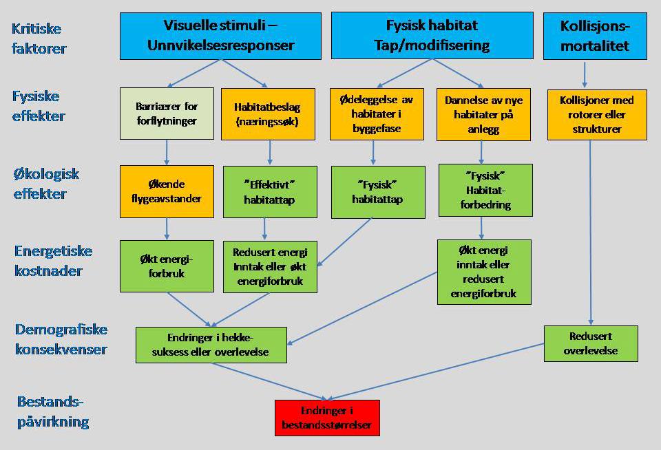 Figur 1.2 Mulige påvirkninger av vindturbiner på fugl, med tilhørende konsekvensmekanismer og forventede effekter på enkeltindivider og på bestandsnivå. (etter Langston mfl. 2006). 1.3.