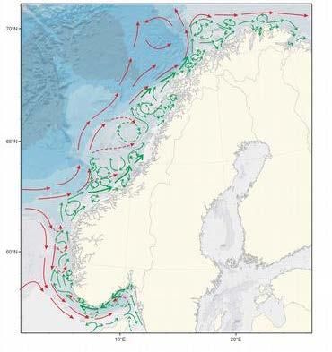 Figur 1.3. Forhold mellom den norske kyststrømmen (grønne piler) og strømmer med atlantisk vann (kilde: Havforskningsinstituttet).