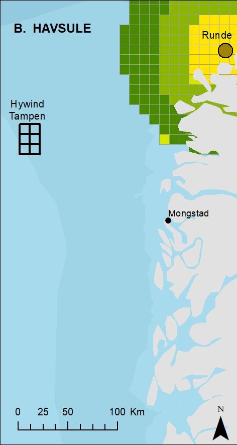 Figur 3.1. Funksjonsområder og beregnede forekomster av havhest (A) og havsule (B) rundt norske hekkekolonier i Nordsjøen (inkludert Runde) i hekketiden.