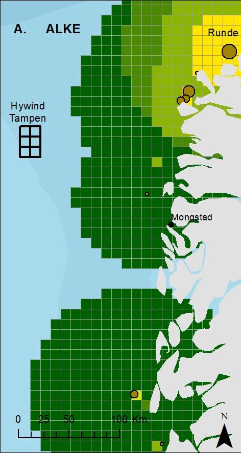 Figur 3.3. Funksjonsområder og beregnede forekomster av alke (A) og lomvi (B) rundt norske hekkekolonier i Nordsjøen (inkludert Runde) i hekketiden.