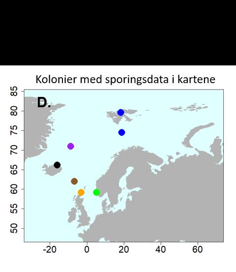 SEATRACK fra kolonier i