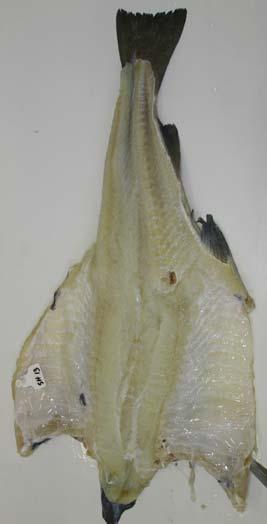 1 Feilfri fisk For å ha et referansepunkt for å vurdere konsekvensene av