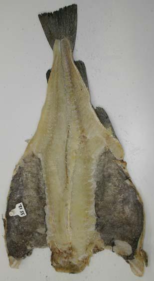 Bilde 14. Saltmoden fisk fra dårlig blodtappet råstoff.