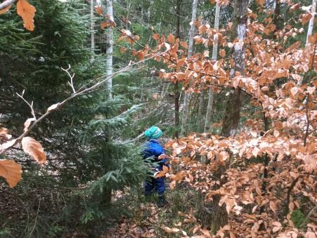 fra nissen Og der gullhårbarna han gav oss et til