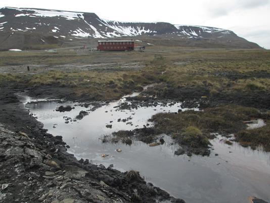 Figur 4-3: Øverste bilder: Stillestående vann i myrområde ved Gml. BØF nedstr. (venstre og stor ansamling av vann på overflaten av Kullager Sør som observert i juni 2017 (høyre.