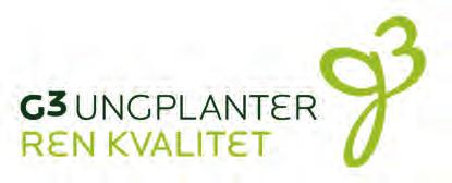 60 BLOMSTER G3 Ungplanter oppstod tidlig på 1990-tallet etter idé fra Reidar Ljones. Selskapet ble stiftet i 1998, og består i dag av Harald Ljones, Johan Kristiansen og Ivar Funderud.
