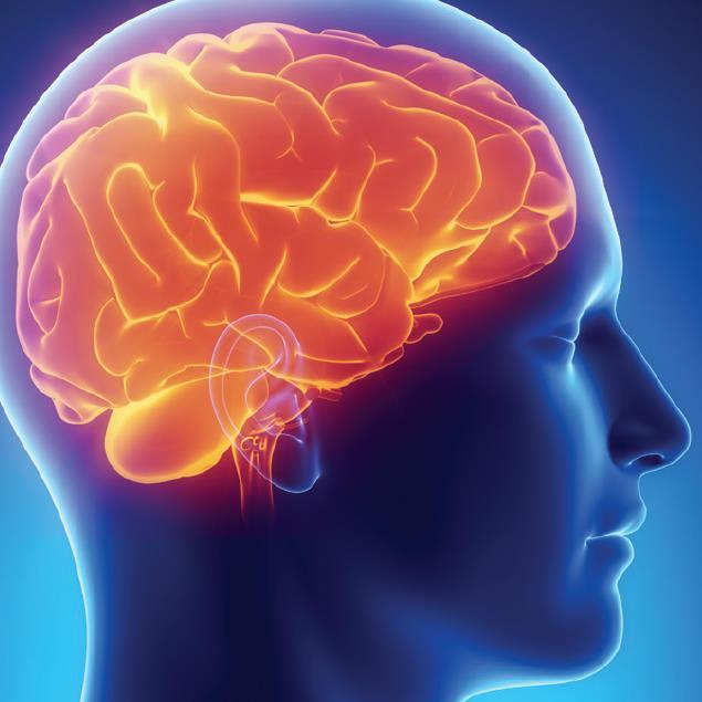 Oppsummering CT er førstevalg ved traumatisk hodeskade MR gir mye tilleggsinformasjon MR er indisert