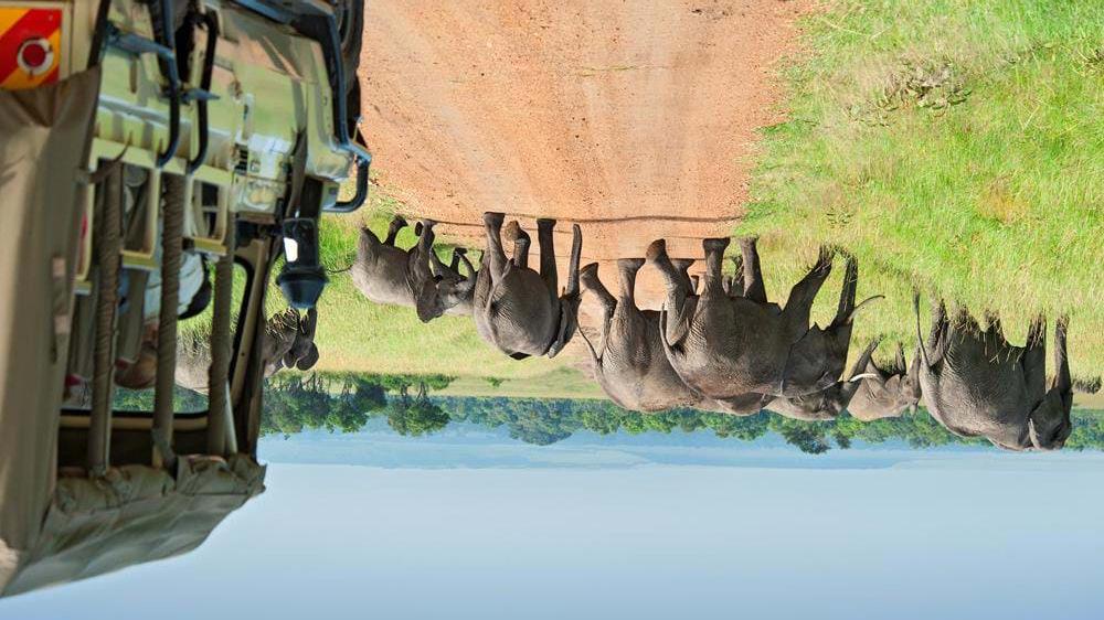 Masai Safari med Basecamp Explorer Ønsker du den ekte safarifølelsen hvor du kommer i nærkontakt med naturen, dyrene og
