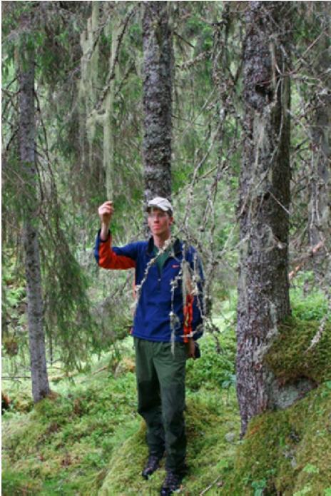 Skogvern registrering prioriterte skogtyper Edellauvskogsregistreringene blir ferdig i år (registreringsrapporter mai 2014, samlerapport 2014/2015).