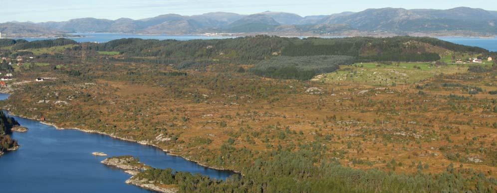 DELOMRÅDE 32: SKÅPTJØRNI LANDSKAPETS VERDI Dette landskapsområdet omfatter en stor myr som vurderes til å ha lokal verdi i kommunen.