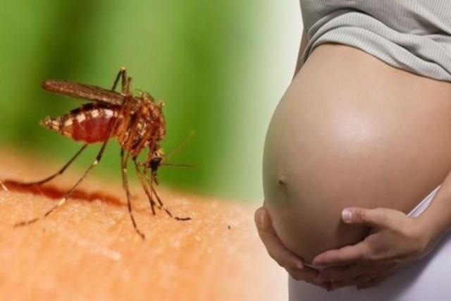 Zikavirus dreper