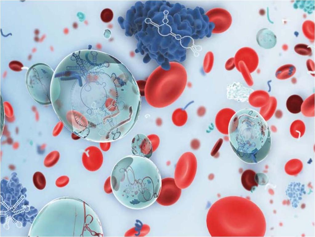 Liquid biopsies Undersøkelse i blod Finne deler av DNA fra tumor (cellefritt DNA, cfdna) Finne