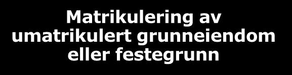 Matrikulering av umatrikulert grunneiendom eller festegrunn Historikk/definisjon (1) To perspektiv på umatrikulert grunn: 1.