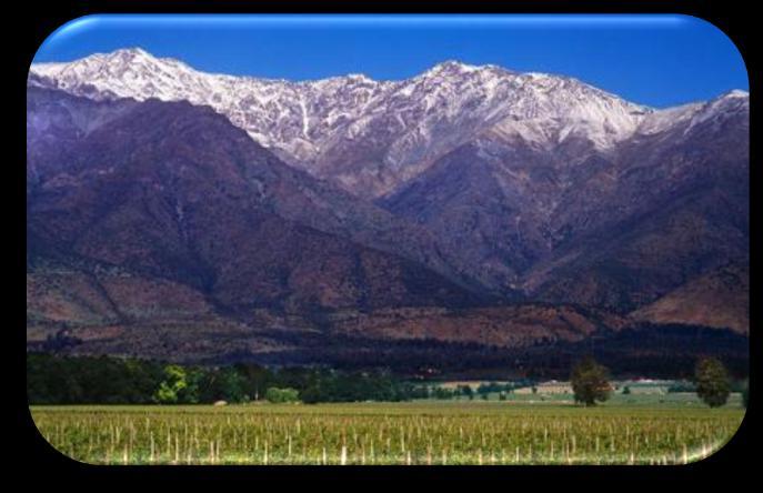Chiles vinmarker har aldri blitt angrepet av phylloxera. Produserer stort sett viner på Bordeaux blend.