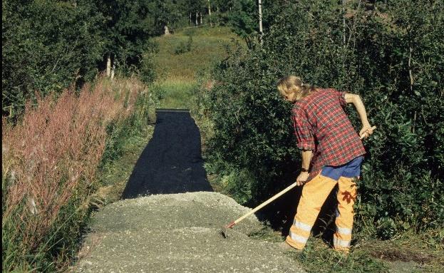 nærmiljøet med boligen som