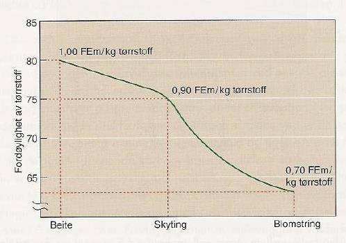 Energitap og fordøyeligheten etter skyting Daglig reduksjon i FEm konsentrasjon er ca 0,01 FEm pr dag fra skyting til to uker etter skyting hos timotei.
